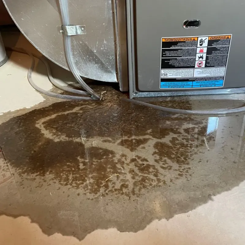 Pipe Burst and Leak Restoration in Wernersville, PA
