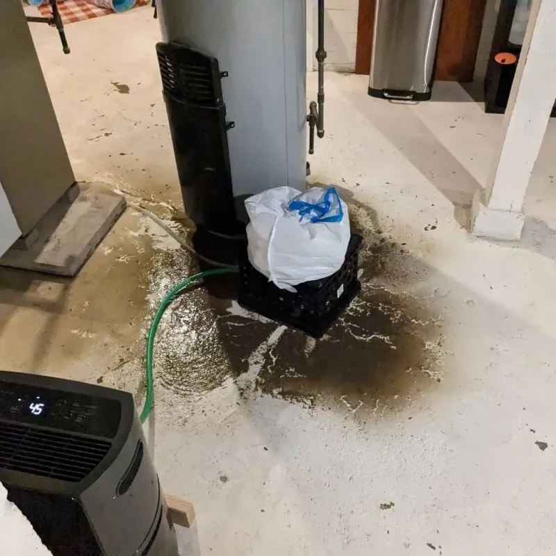 Sewage Backup Cleanup Service in Wernersville, PA